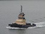 SX01141 Tug boat in Milford Haven.jpg